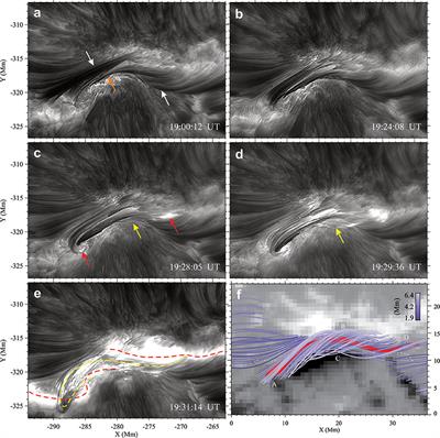 Signatures of Magnetic Flux Ropes in the Low Solar Atmosphere Observed in High Resolution